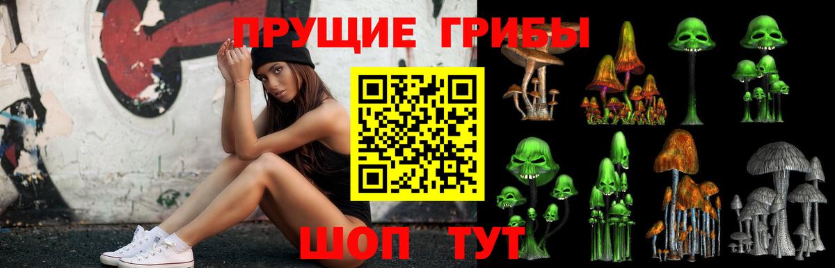 Батайск  Псилоцибиновые грибы ЛСД  Вход с VPN  Галлюциногенные грибы Cubensis 
